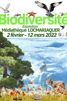 Exposition Biodiversité